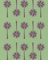 Coconut Palm